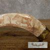 Scrimshaw Warthog Tooth Safari Decor For Sale - Image 3
