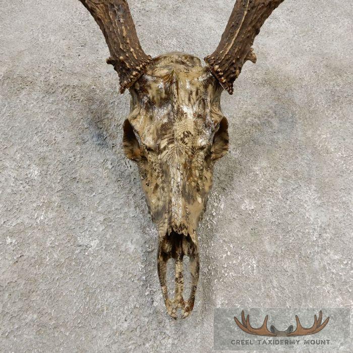 Whitetail Deer Reproduction Skull European Taxidermy Mount For Sale - Image 4