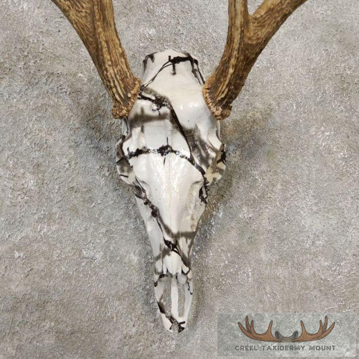 Whitetail Deer Reproduction Skull European Taxidermy Mount For Sale - Image 4