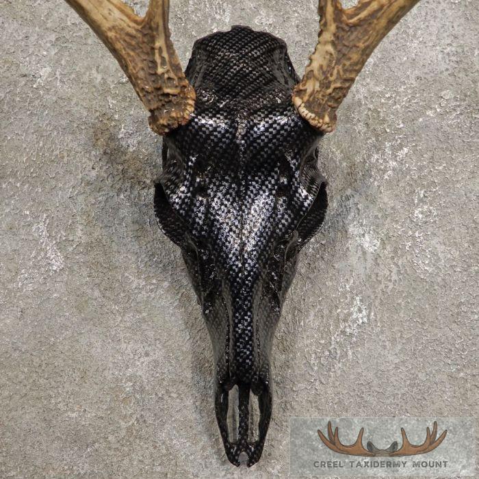 Whitetail Deer Reproduction Skull European Taxidermy Mount For Sale - Image 4