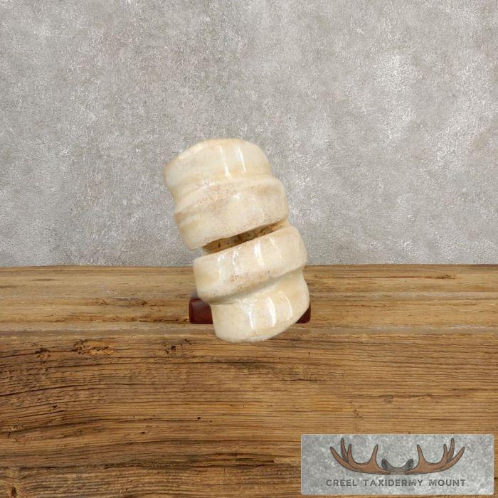 Carved Giraffe Bone Safari Decor For Sale - Image 10