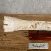Carved Giraffe Bone Safari Decor For Sale - Image 3