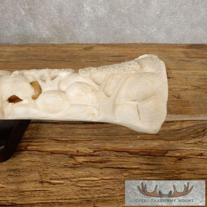 Carved Giraffe Bone Safari Decor For Sale - Image 8