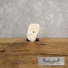 Carved Giraffe Bone Safari Decor For Sale - Image 9