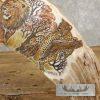 Scrimshaw Hippopotamus Tooth Safari Decor For Sale - Image 6