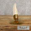 Scrimshaw Hippopotamus Tooth Safari Decor For Sale - Image 8