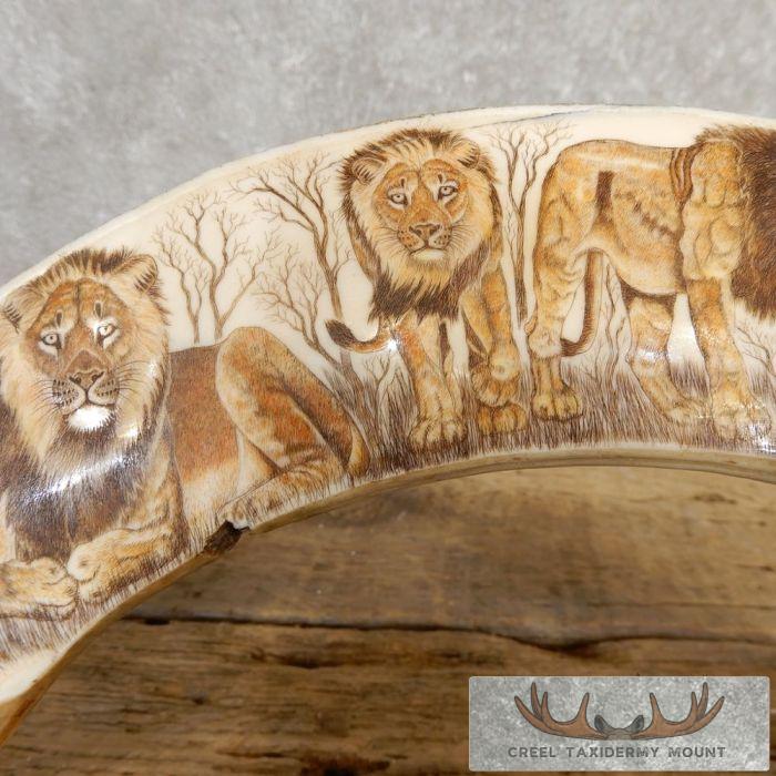 Scrimshaw Hippopotamus Tooth Safari Decor For Sale - Image 2
