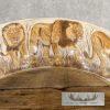 Scrimshaw Hippopotamus Tooth Safari Decor For Sale - Image 3
