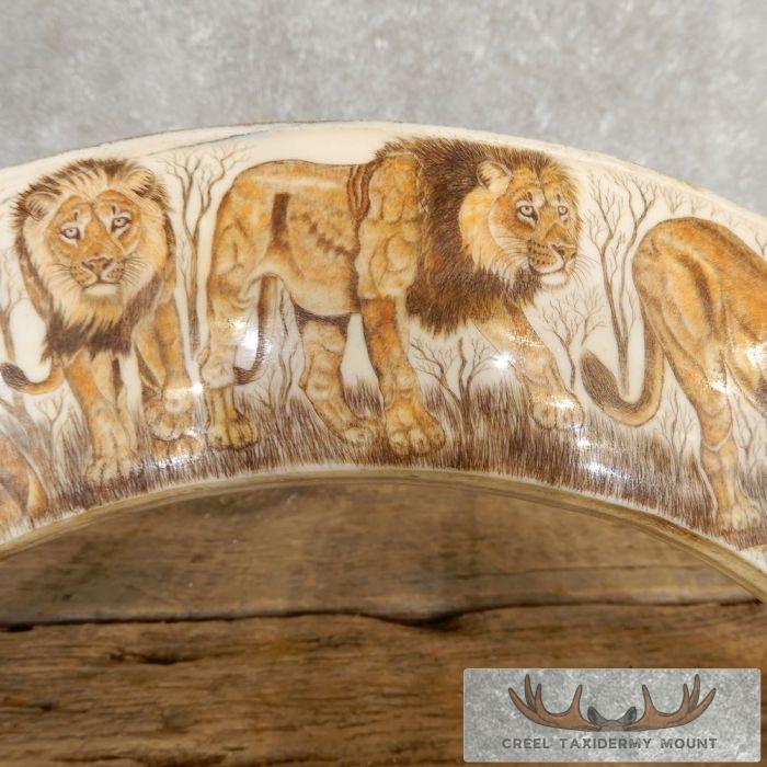Scrimshaw Hippopotamus Tooth Safari Decor For Sale - Image 3