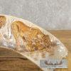 Scrimshaw Hippopotamus Tooth Safari Decor For Sale - Image 4