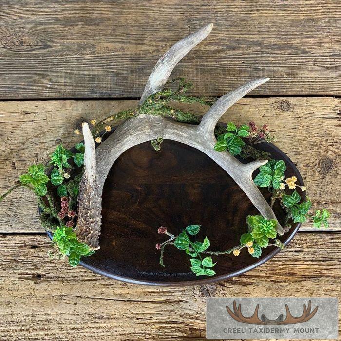 Whitetail Deer Antler Banquet or Wedding Table Centerpiece Set - Image 3