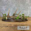 Whitetail Deer Antler Banquet or Wedding Table Centerpiece Set - Image 2