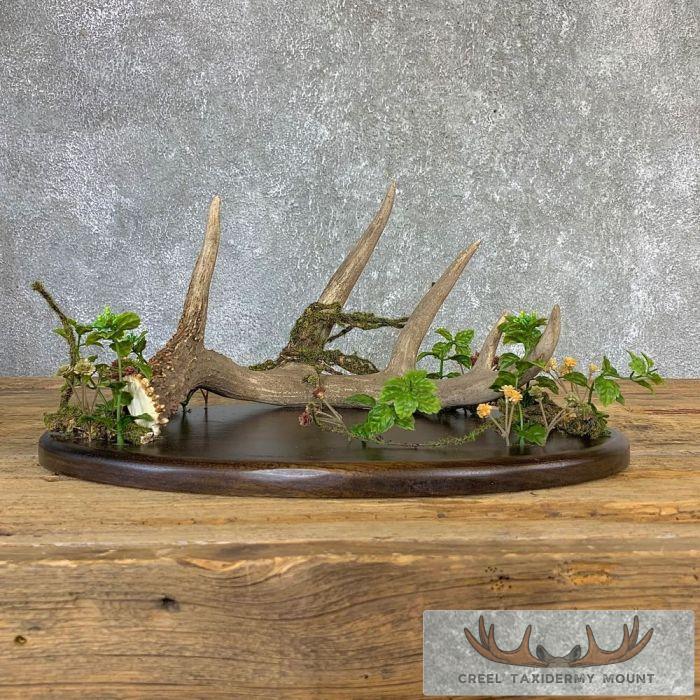 Whitetail Deer Antler Banquet or Wedding Table Centerpiece Set - Image 2