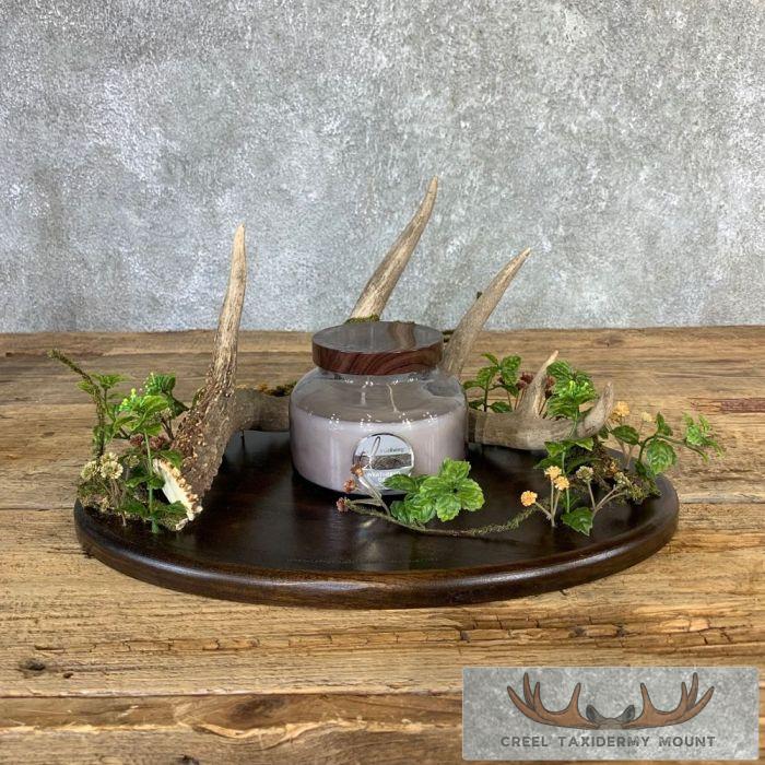 Whitetail Deer Antler Banquet or Wedding Table Centerpiece Set - Image 5