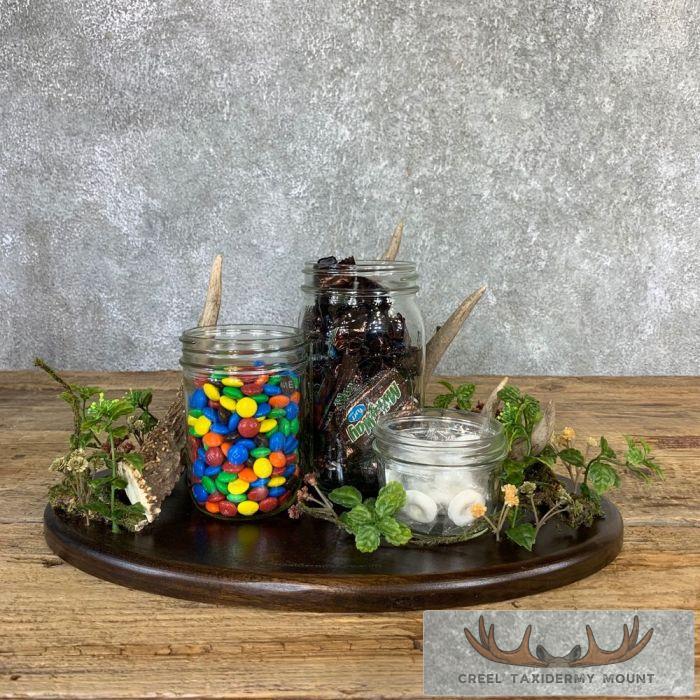 Whitetail Deer Antler Banquet or Wedding Table Centerpiece Set - Image 8