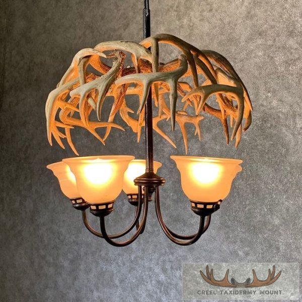 Five Light Whitetail Deer Antler Chandelier For Sale - Image 3