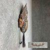 War Bird Turkey Fan Display For Sale - Image 2