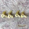 Mountain Lion Claws Taxidermy For Sale - Image 3