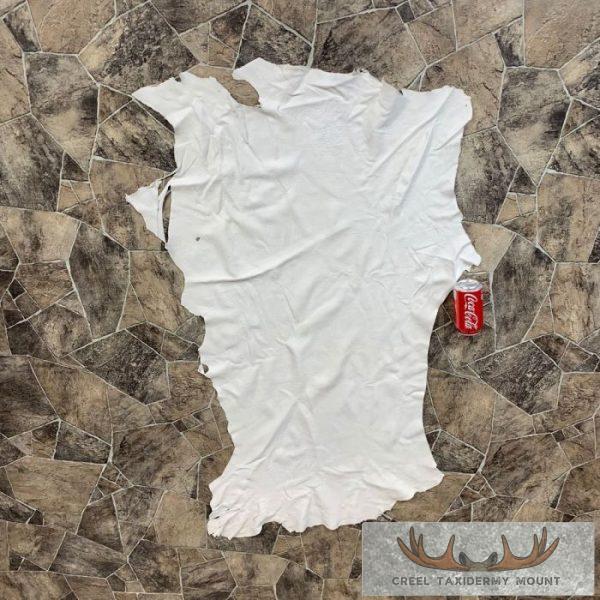 Buckskin Soft Tan Leather For Sale - Image 2