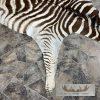 African Zebra Full-Size Taxidermy Rug For Sale - Image 5