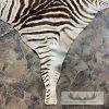 African Zebra Full-Size Taxidermy Rug For Sale - Image 6