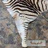 African Zebra Full-Size Taxidermy Rug For Sale - Image 7