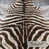 African Zebra Full-Size Taxidermy Rug For Sale - Image 9