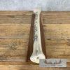 Scrimshaw Giraffe Bone Safari Decor For Sale - Image 5