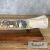 Scrimshaw Giraffe Bone Safari Decor For Sale - Image 4