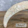 Carved Warthog Tooth Safari Decor For Sale - Image 3