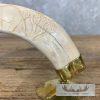 Carved Warthog Tooth Safari Decor For Sale - Image 5