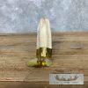 Carved Warthog Tooth Safari Decor For Sale - Image 8