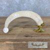 Carved Warthog Tooth Safari Decor For Sale - Image 2