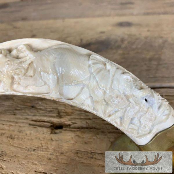 Carved Warthog Tooth Safari Decor For Sale - Image 6