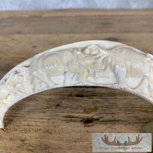 Carved Warthog Tooth Safari Decor For Sale - Image 5