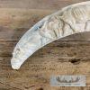 Carved Warthog Tooth Safari Decor For Sale - Image 4
