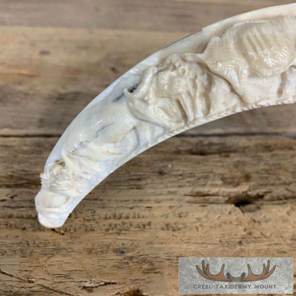 Carved Warthog Tooth Safari Decor For Sale - Image 4
