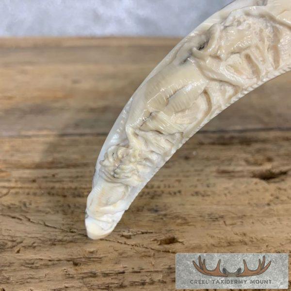 Carved Warthog Tooth Safari Decor For Sale - Image 3