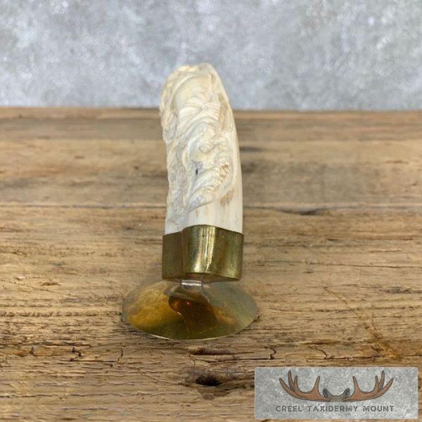Carved Warthog Tooth Safari Decor For Sale - Image 7