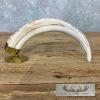 Carved Warthog Tooth Safari Decor For Sale - Image 9