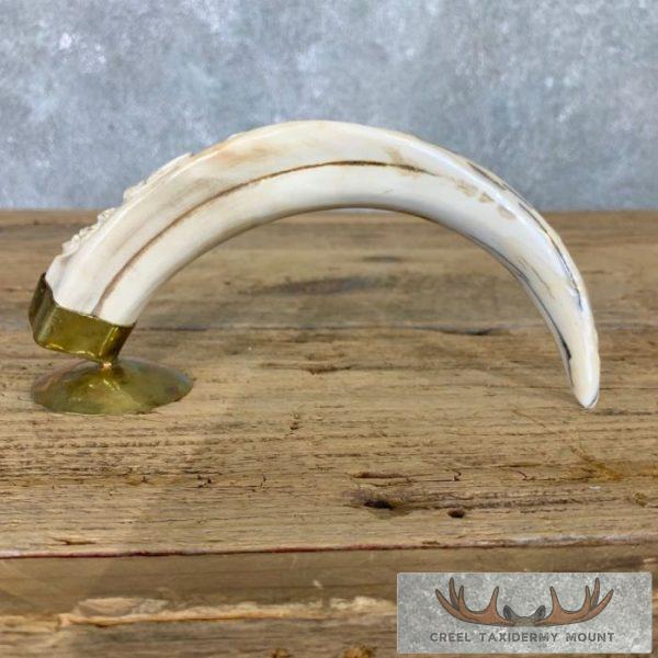 Carved Warthog Tooth Safari Decor For Sale - Image 9