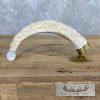 Carved Warthog Tooth Safari Decor For Sale - Image 2