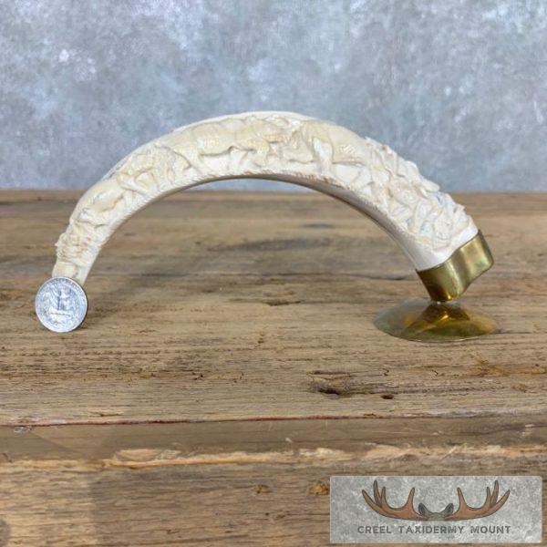 Carved Warthog Tooth Safari Decor For Sale - Image 2