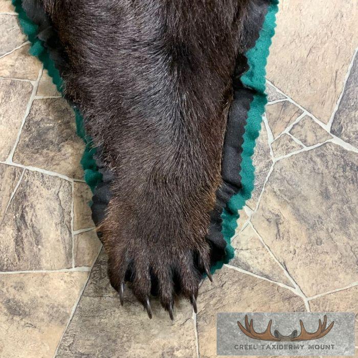 Black Bear Full-Size Taxidermy Rug For Sale - Image 5