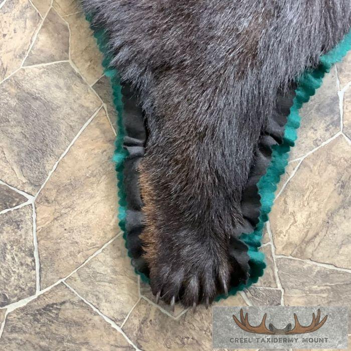Black Bear Full-Size Taxidermy Rug For Sale - Image 6