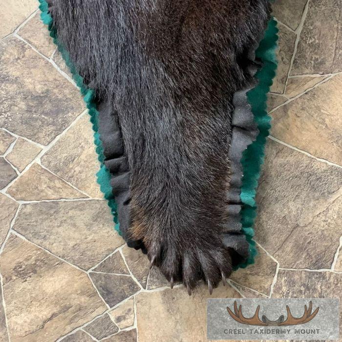 Black Bear Full-Size Taxidermy Rug For Sale - Image 7
