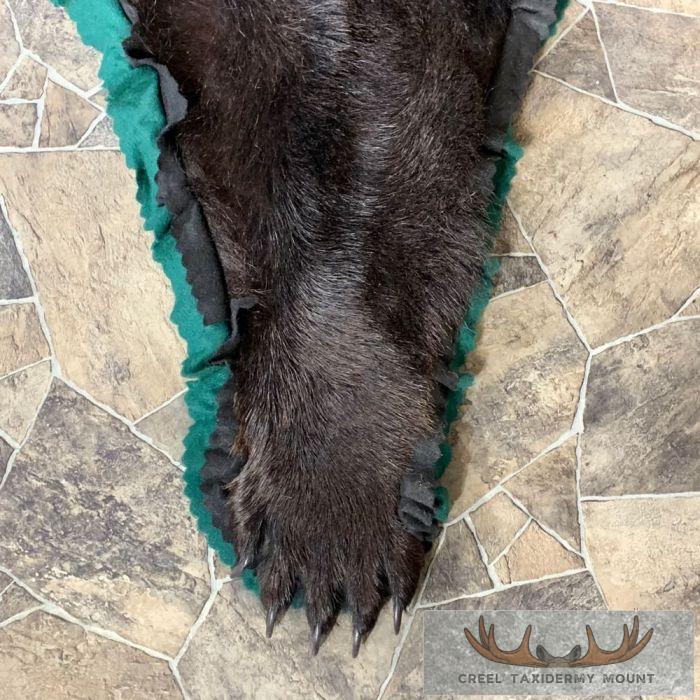 Black Bear Full-Size Taxidermy Rug For Sale - Image 8