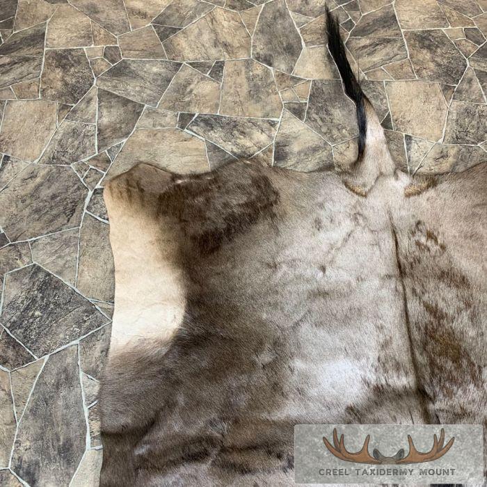 Blue Wildebeest Taxidermy Rug For Sale - Image 7