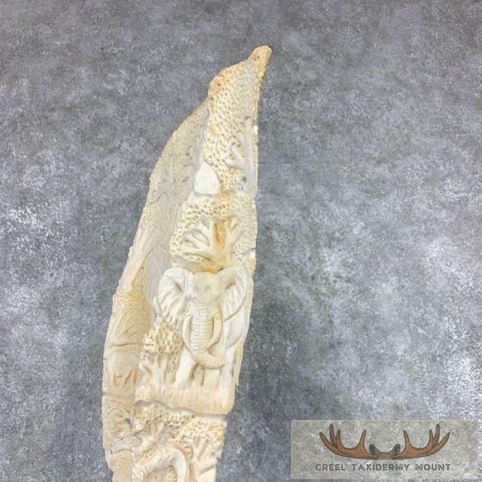 Carved Eland Scapula Safari Decor For Sale - Image 14