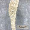 Carved Eland Scapula Safari Decor For Sale - Image 9